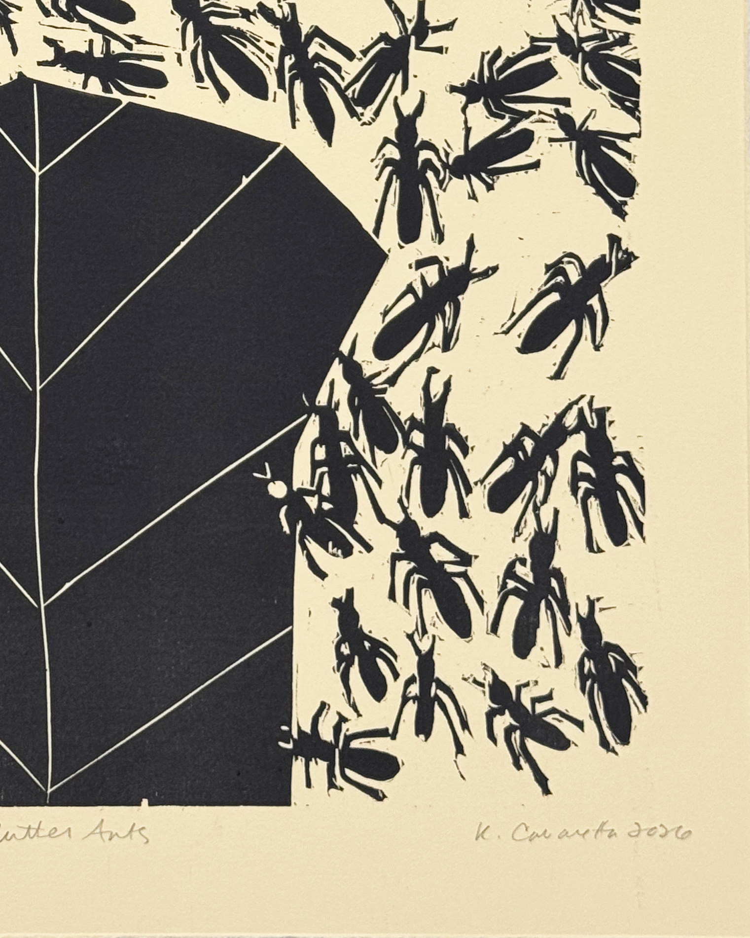Cutter Ants by Kristy Cavaretta - Image 7