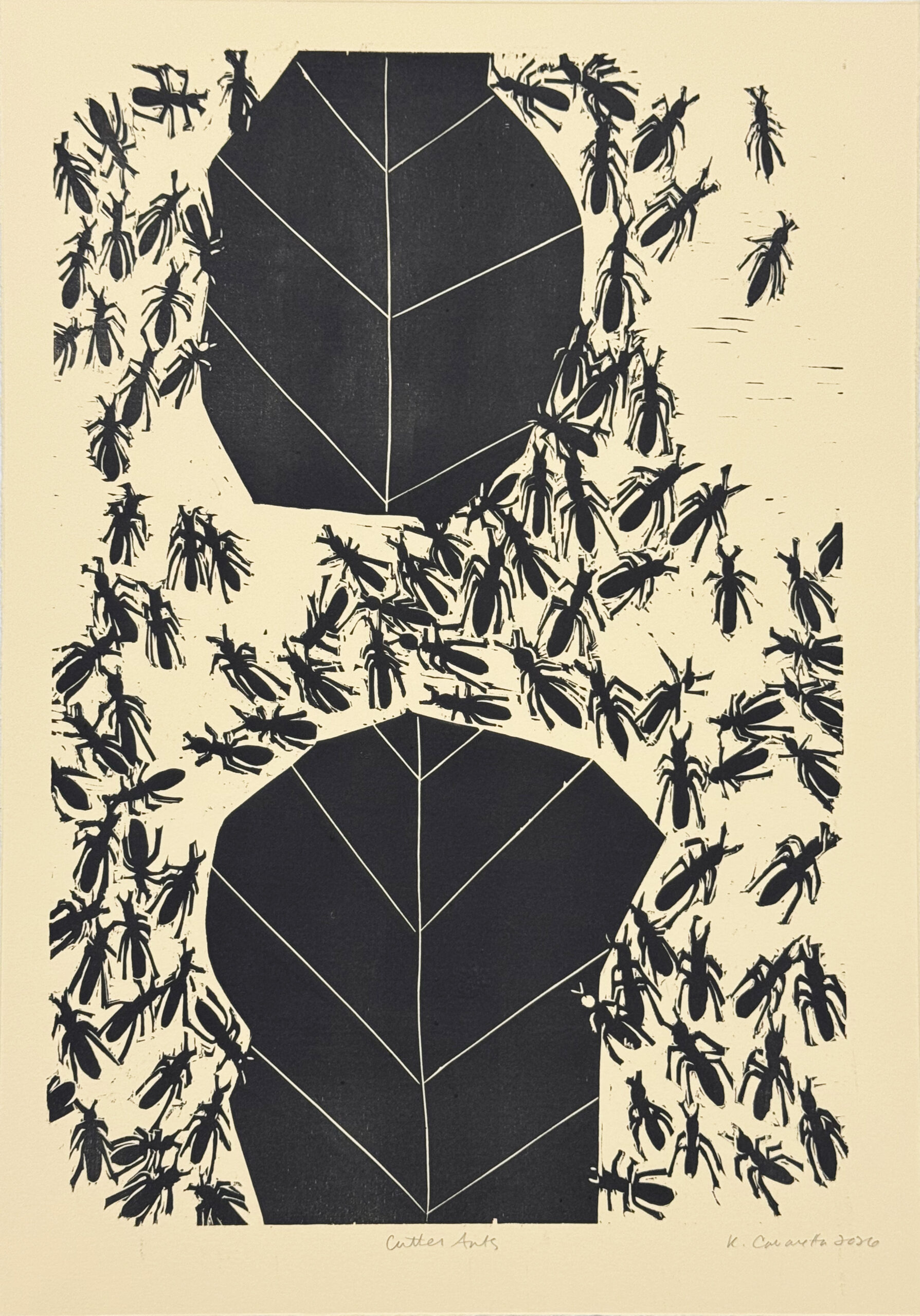 Cutter Ants by Kristy Cavaretta - Image 8