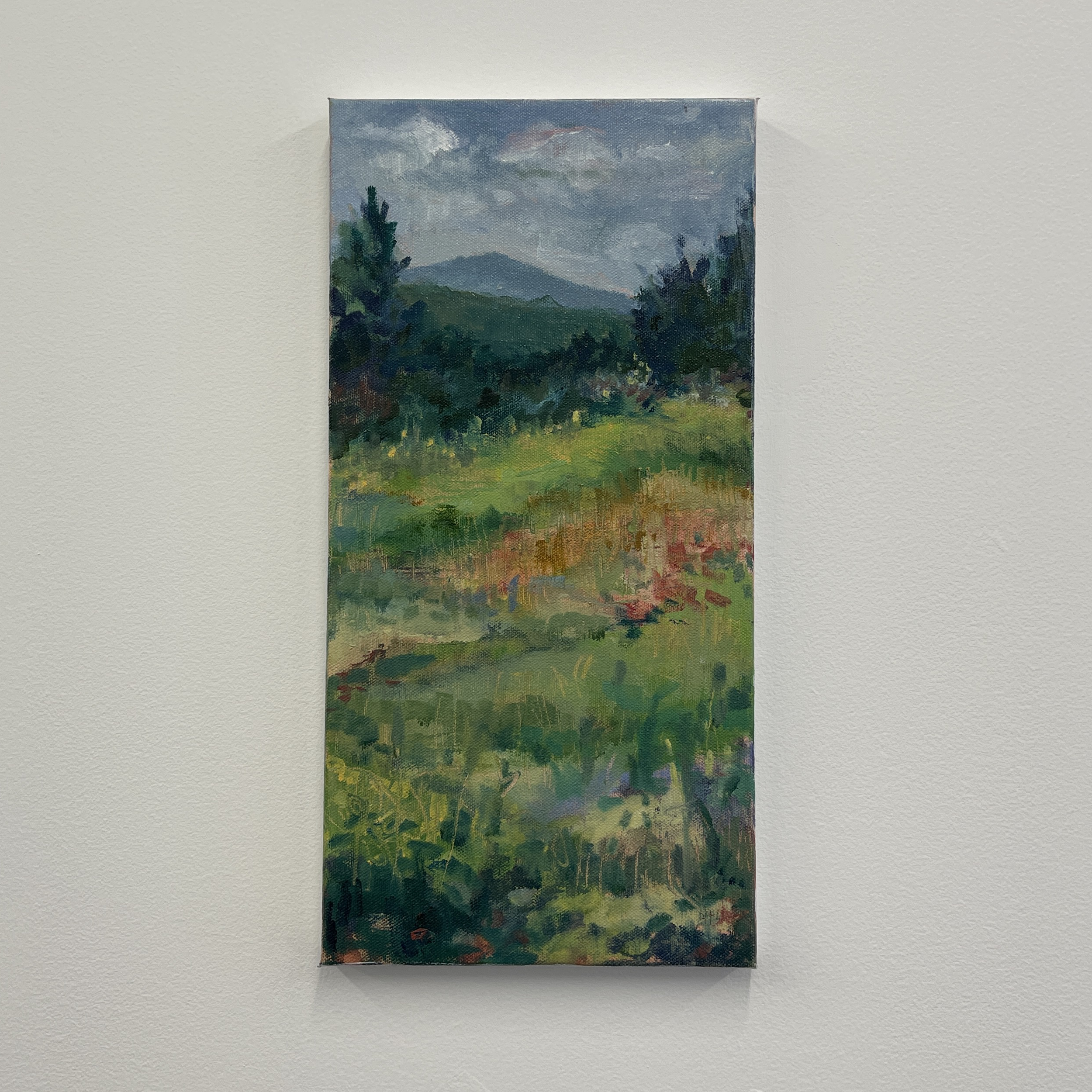 The Meadow by Betsy Holmes