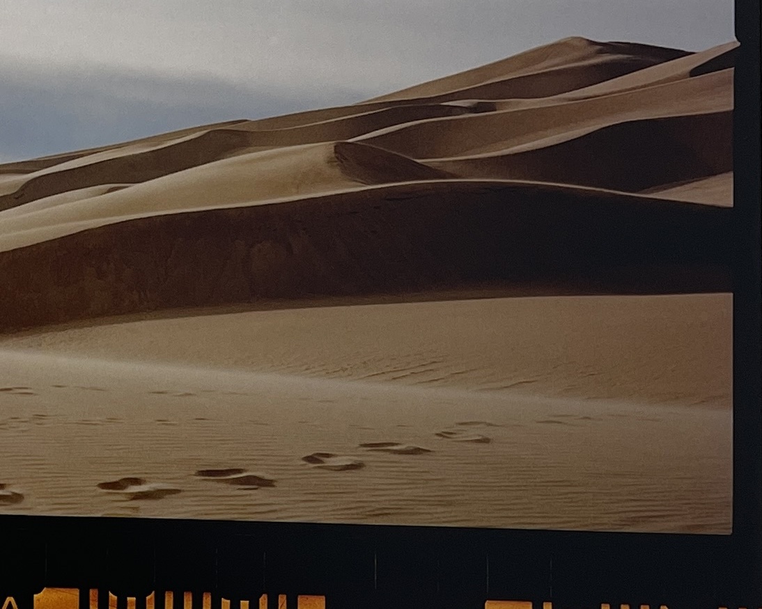 Sand Dunes, Colorado by Michael Cirelli - Image 6