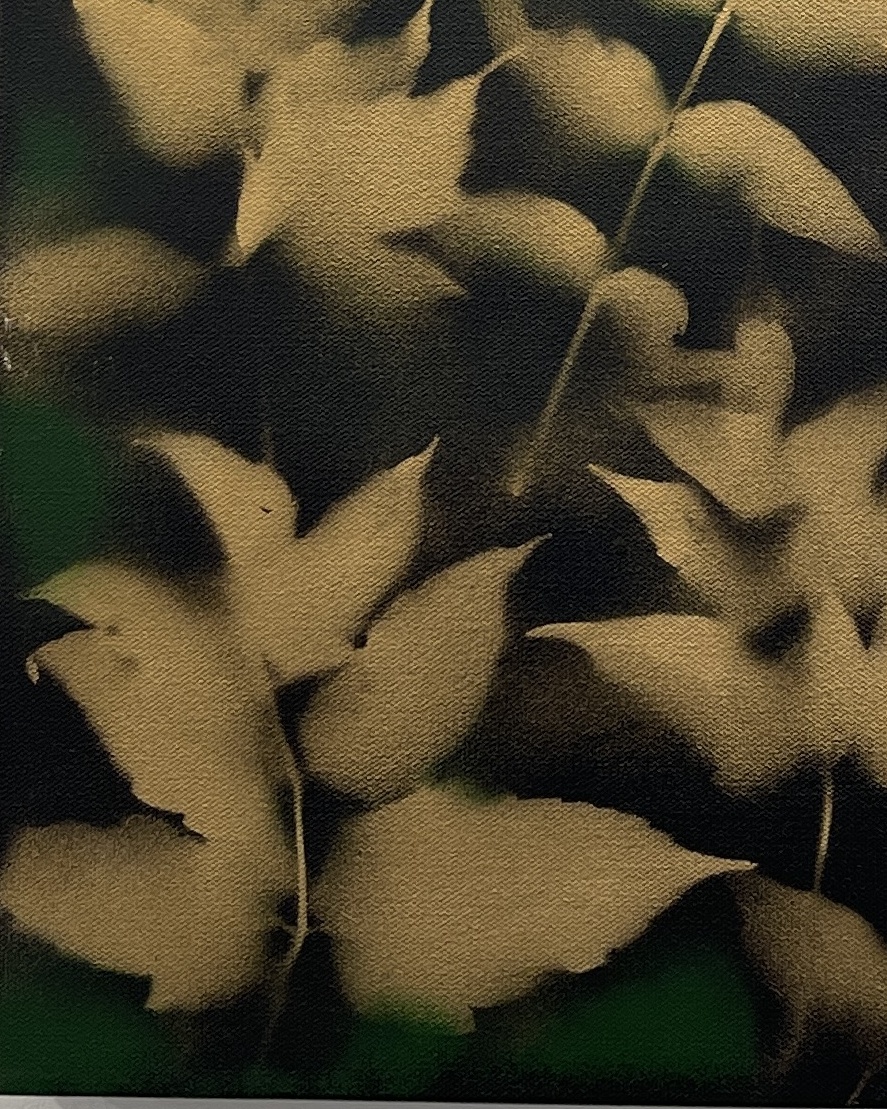 Leaves by Mark Abercrombie - Image 5