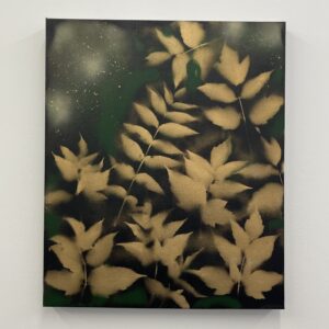 Leaves by Mark Abercrombie