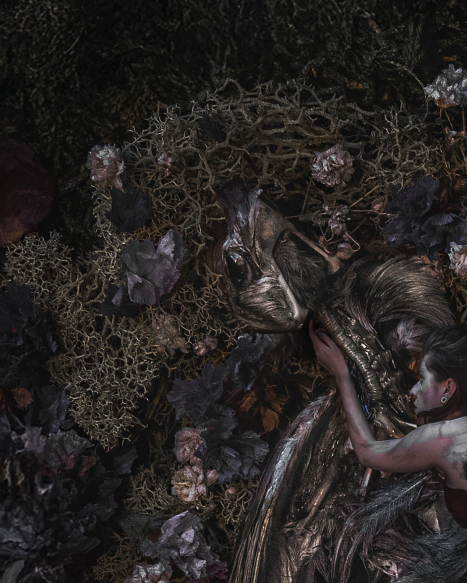 To Rot And To Hold by Adrianne Bodogh - Image 4