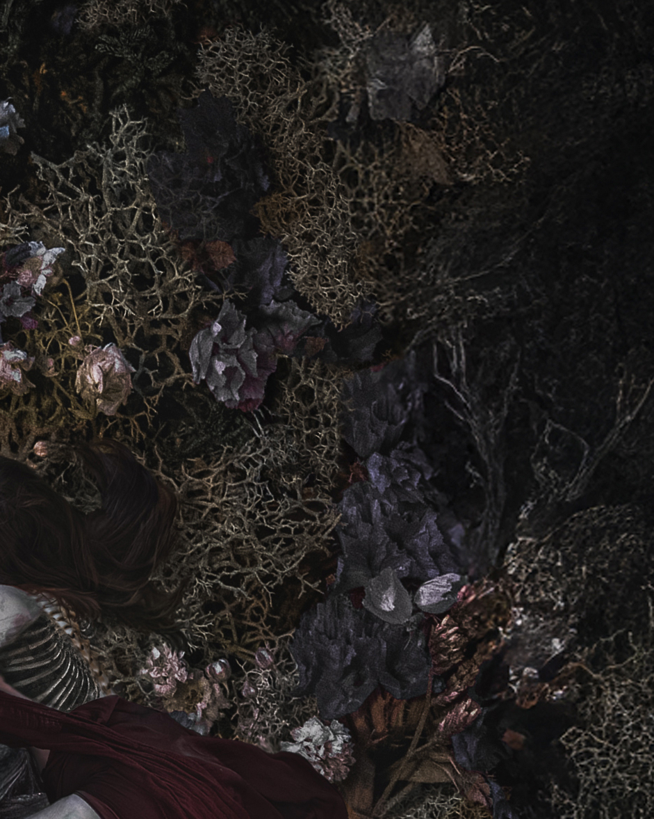 To Rot And To Hold by Adrianne Bodogh - Image 5