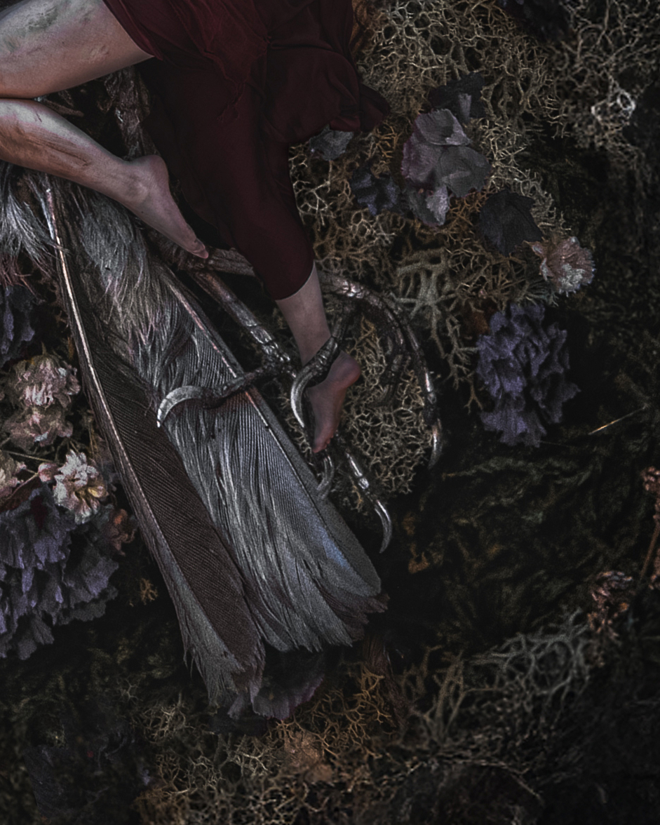 To Rot And To Hold by Adrianne Bodogh - Image 7