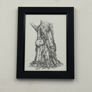 Wagner Park Copper Beech by Fascia