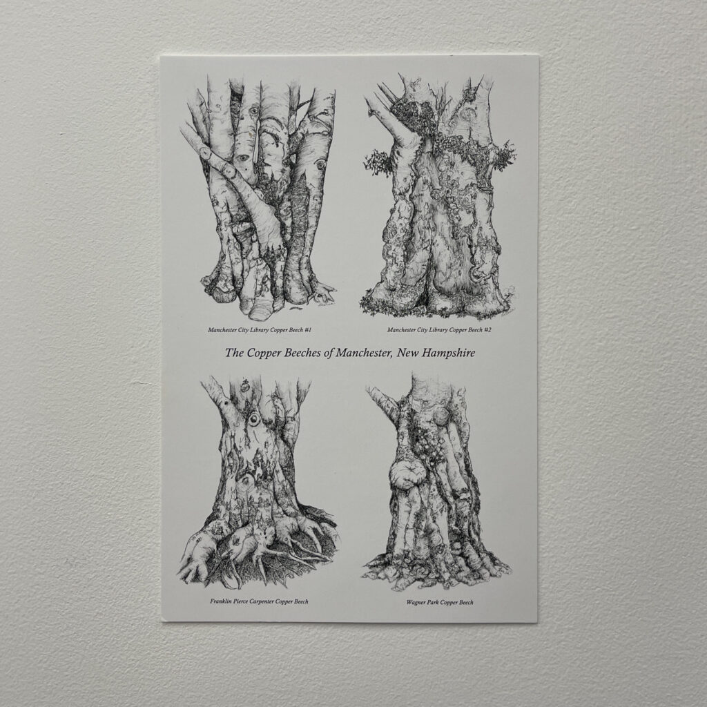The Copper Beeches of Manchester, New Hampshire by Fascia