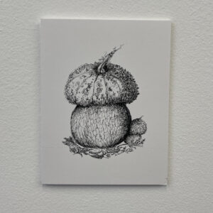 A New Cap Notecard by Fascia
