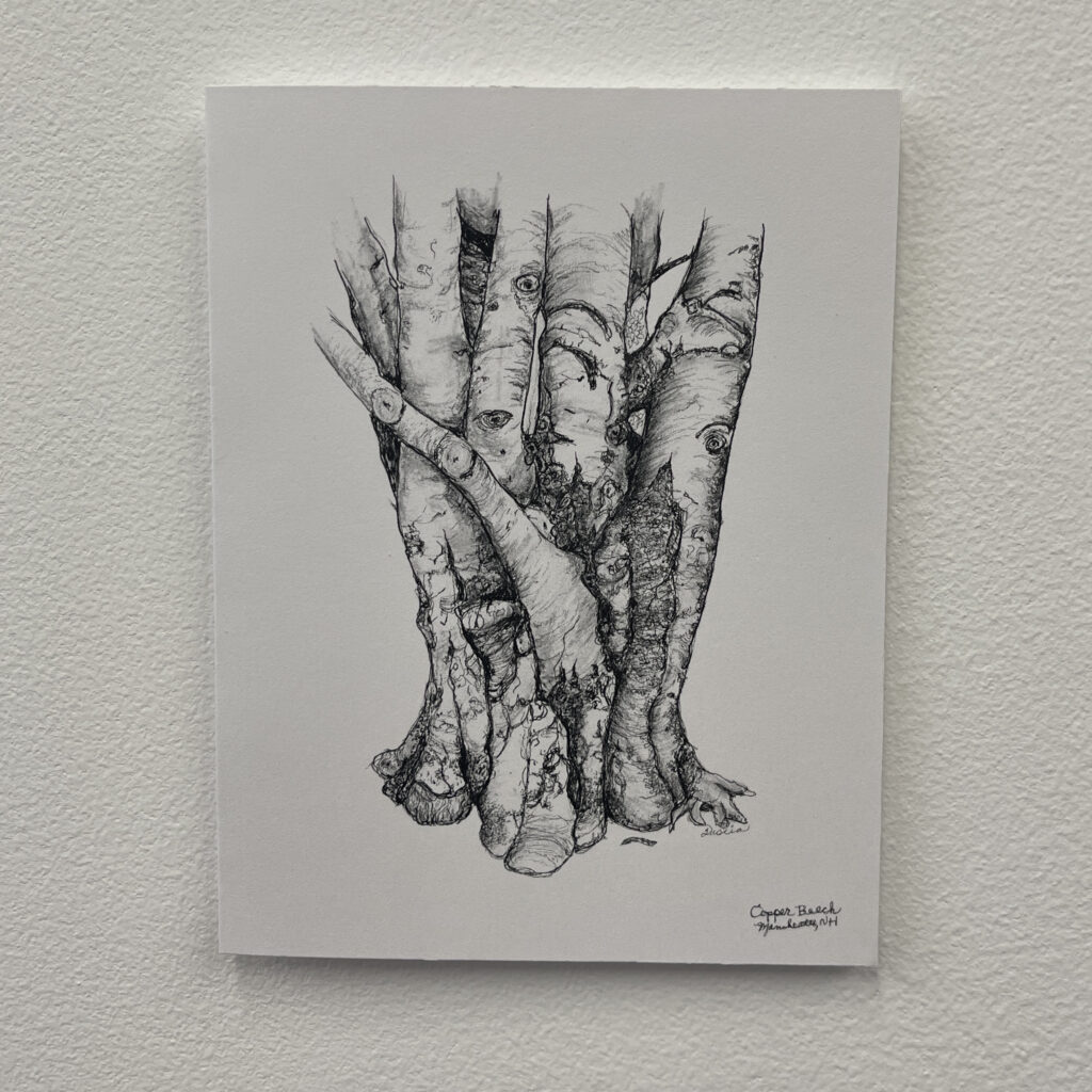 Manchester City Library Copper Beech #1 Notecard by Fascia