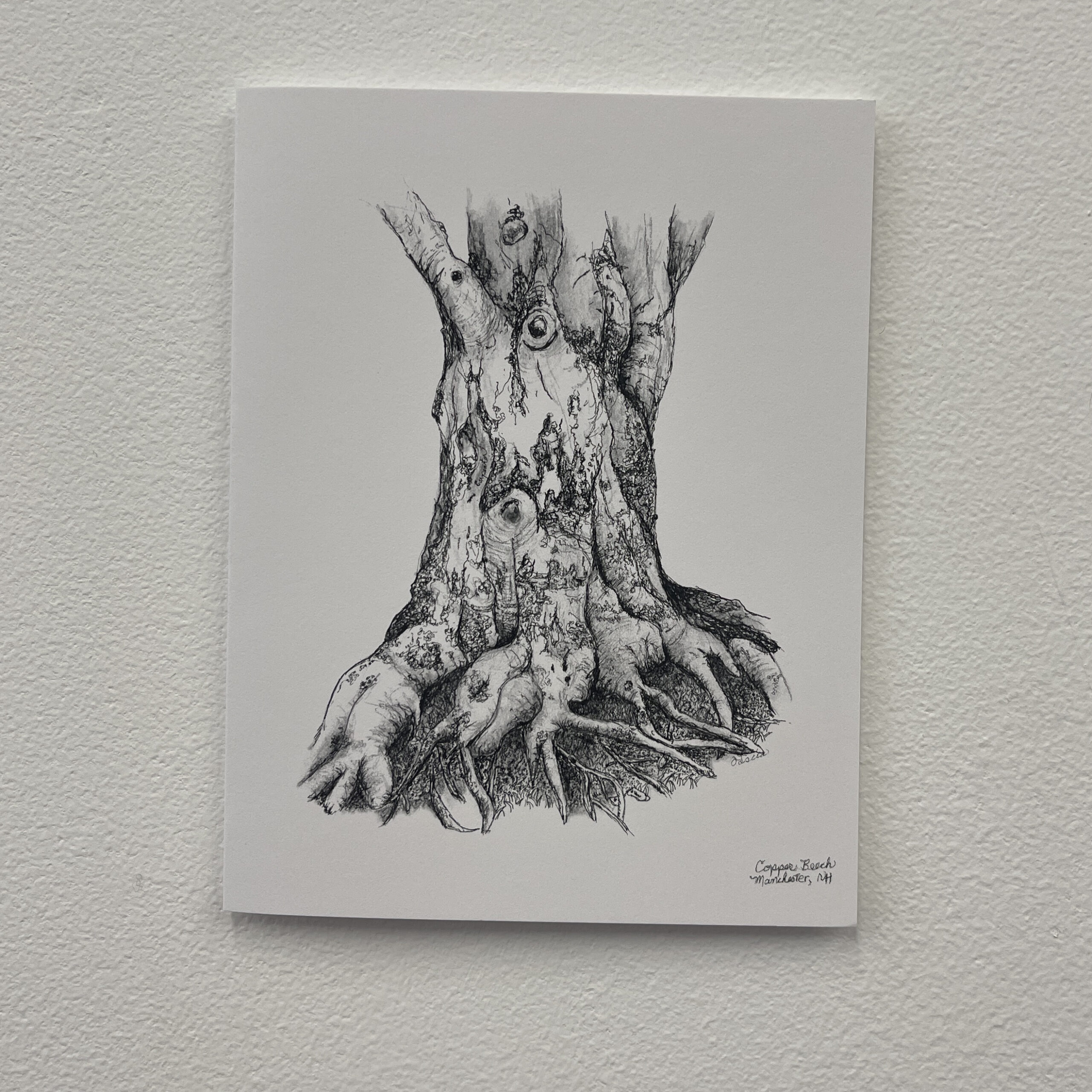 Franklin Pierce Carpenter Copper Beech Notecard by Fascia