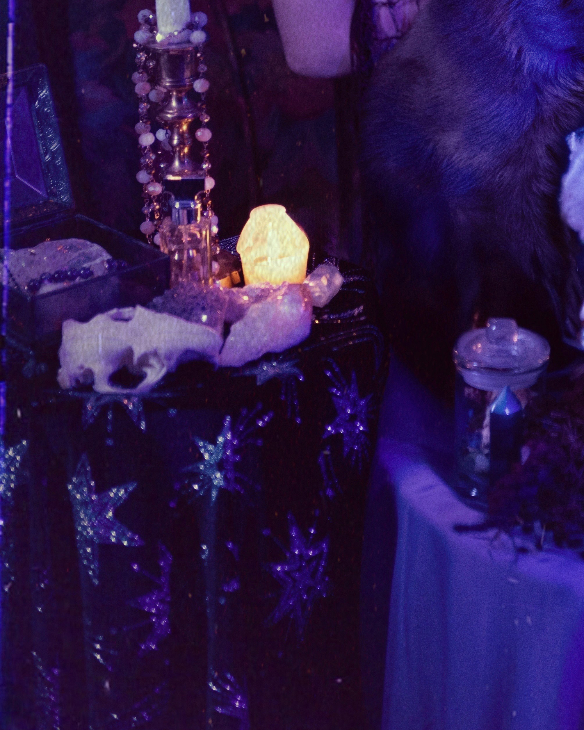 Spells & Hexes by Adrianne Bodogh - Image 6